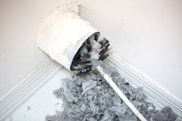 Best Emergency Air Duct Cleaning  in Laguna Vista, TX